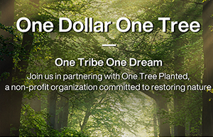 补登：关注情形；；；；；，，，，践行低碳理念