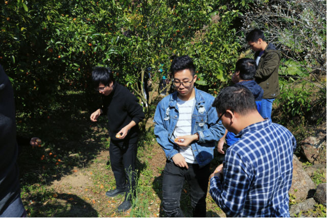 疾驰宝马娱乐(中国游)有限公司官网