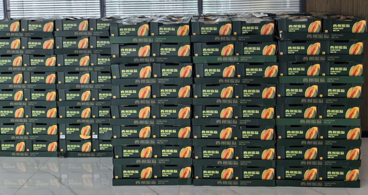 疾驰宝马娱乐(中国游)有限公司官网